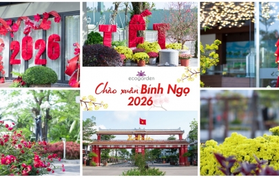 Chào mừng Xuân Bính Ngọ 2026